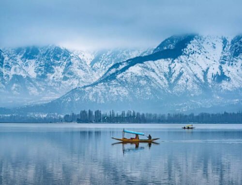 Srinagar Tour